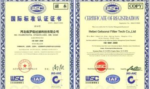 hebei geluorui filter tech co.ltd 5